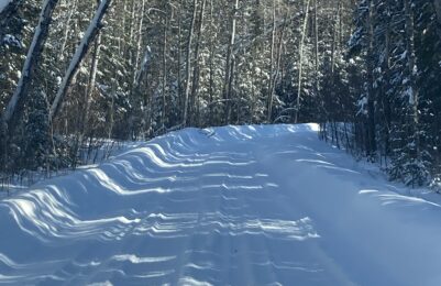 Clearing the Way: Oak Star’s Reliable Snow Services in the South Whiteshell and Northwest Lake of the Woods