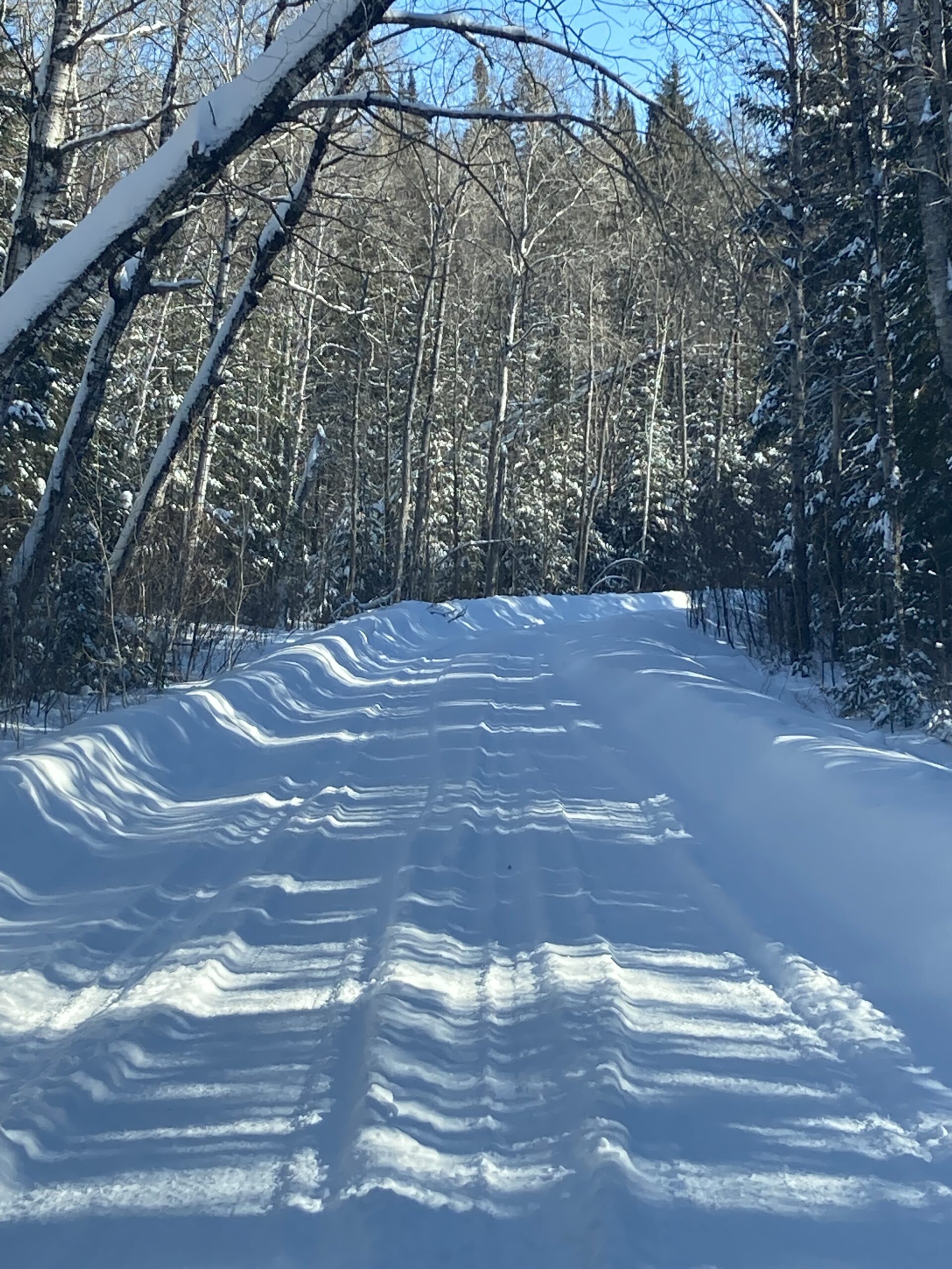 Clearing the Way: Oak Star’s Reliable Snow Services in the South Whiteshell and Northwest Lake of the Woods